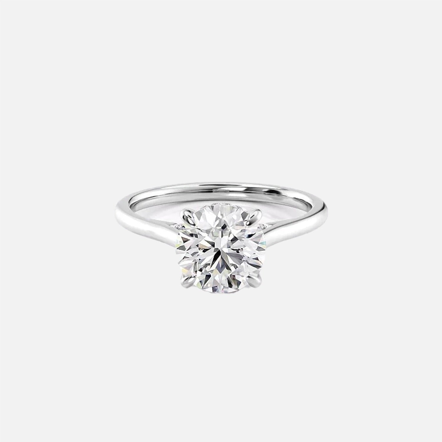 https://cdn.shopify.com/s/files/1/0575/1033/0564/files/Sofia_Moissanite_14k_White_Gold_Round_1.jpg?v=1725001495